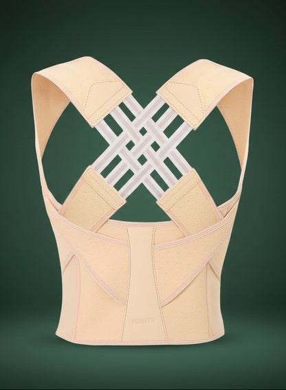 Necktro Back Support Belt